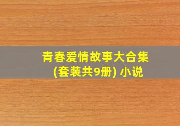 青春爱情故事大合集(套装共9册) 小说